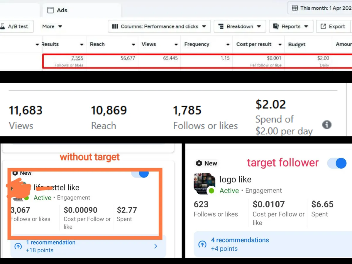 professionally run Facebook Boost Campaigns & Sales Ads
