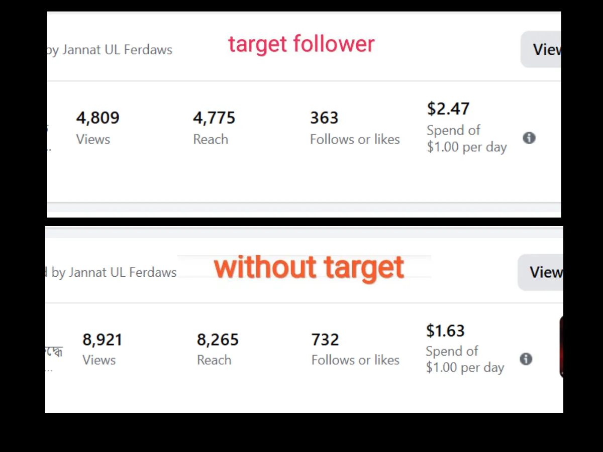professionally run Facebook Boost Campaigns & Sales Ads