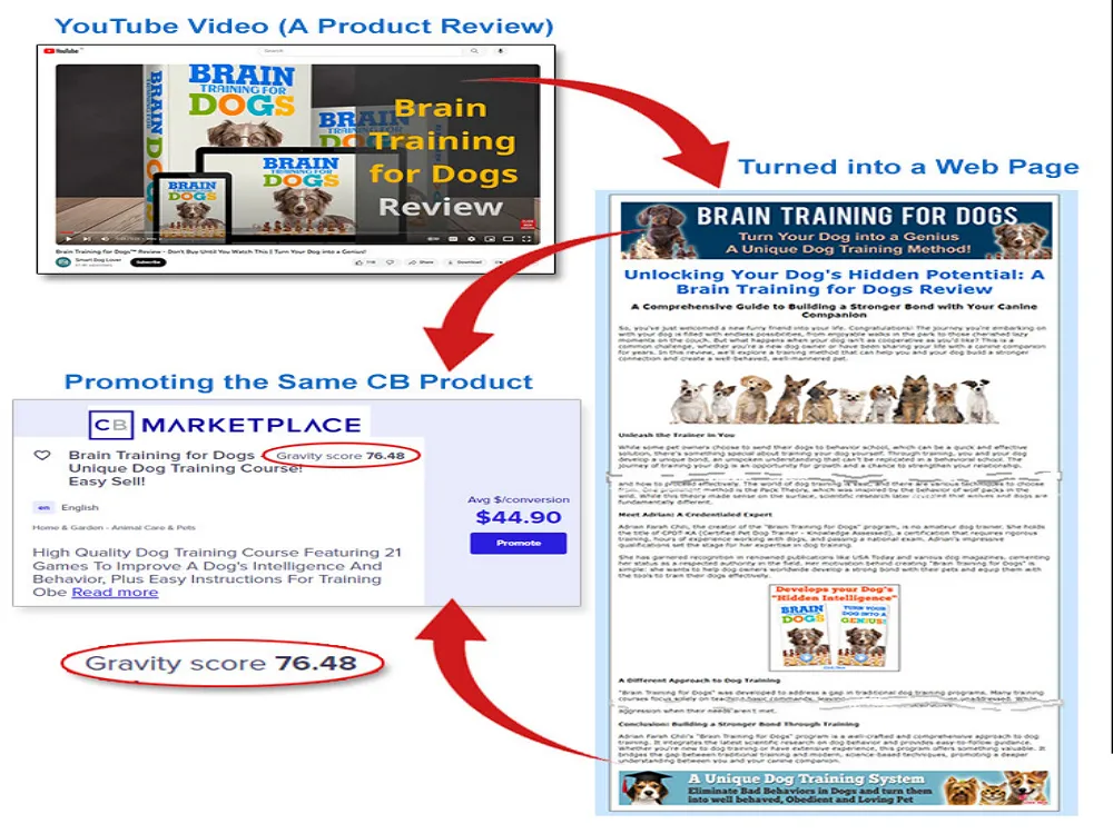 Convert YouTube Video To High Ranking Blog Posts, Website Content and Social Media Posts