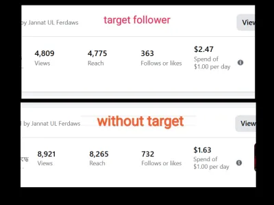 professionally run Facebook Boost Campaigns & Sales Ads