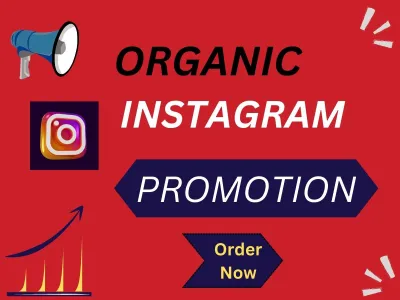 Promote your Instagram account to grow organic engagements