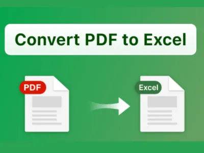 convert PDF to Excel, do Excel data entry, formatting, cleaning, spreadsheet editing